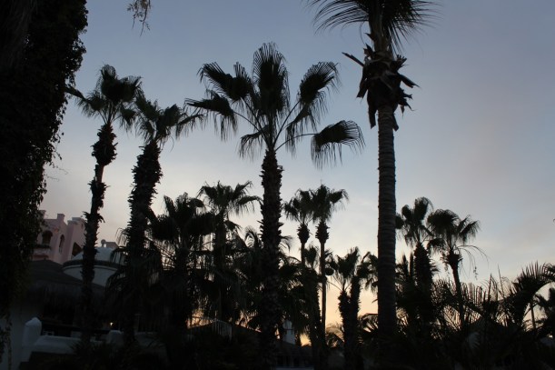 month through my lens